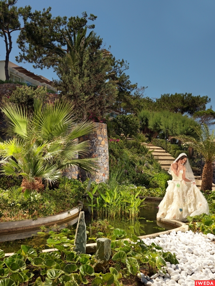 WEDDINGS II
