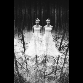 DSC_0504bw